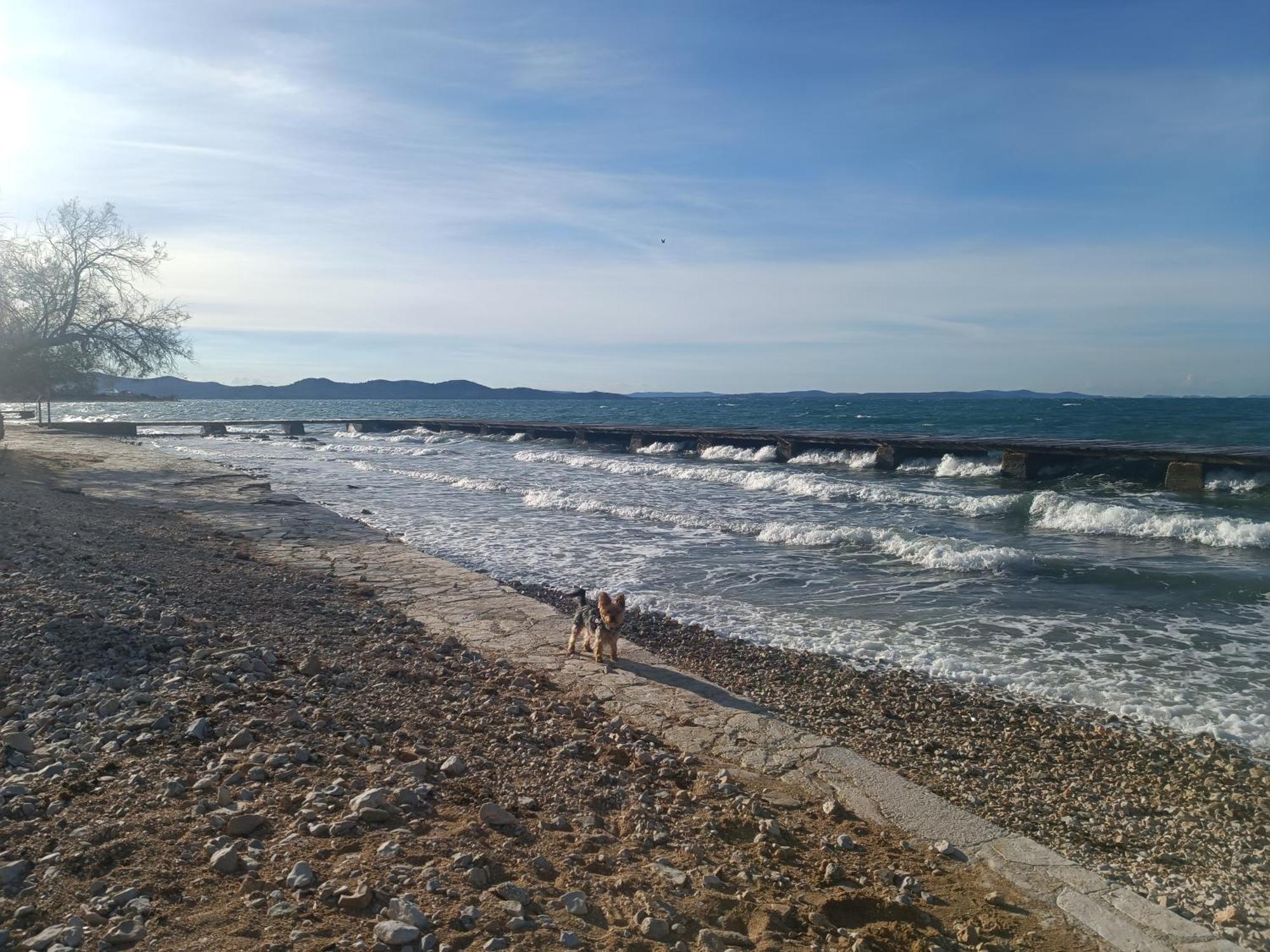 Zadar Beach Apartments Ngoại thất bức ảnh