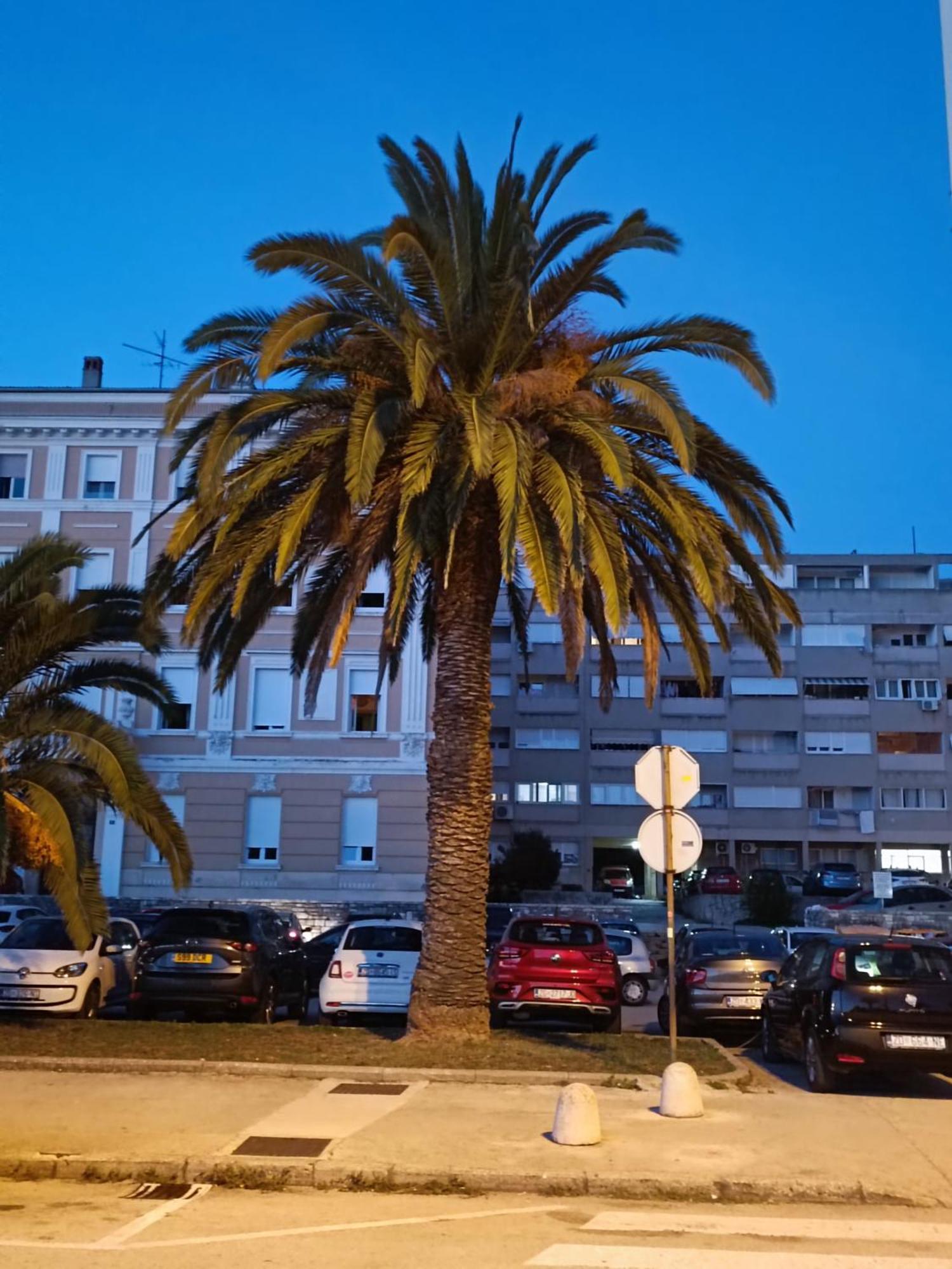 Zadar Beach Apartments Ngoại thất bức ảnh